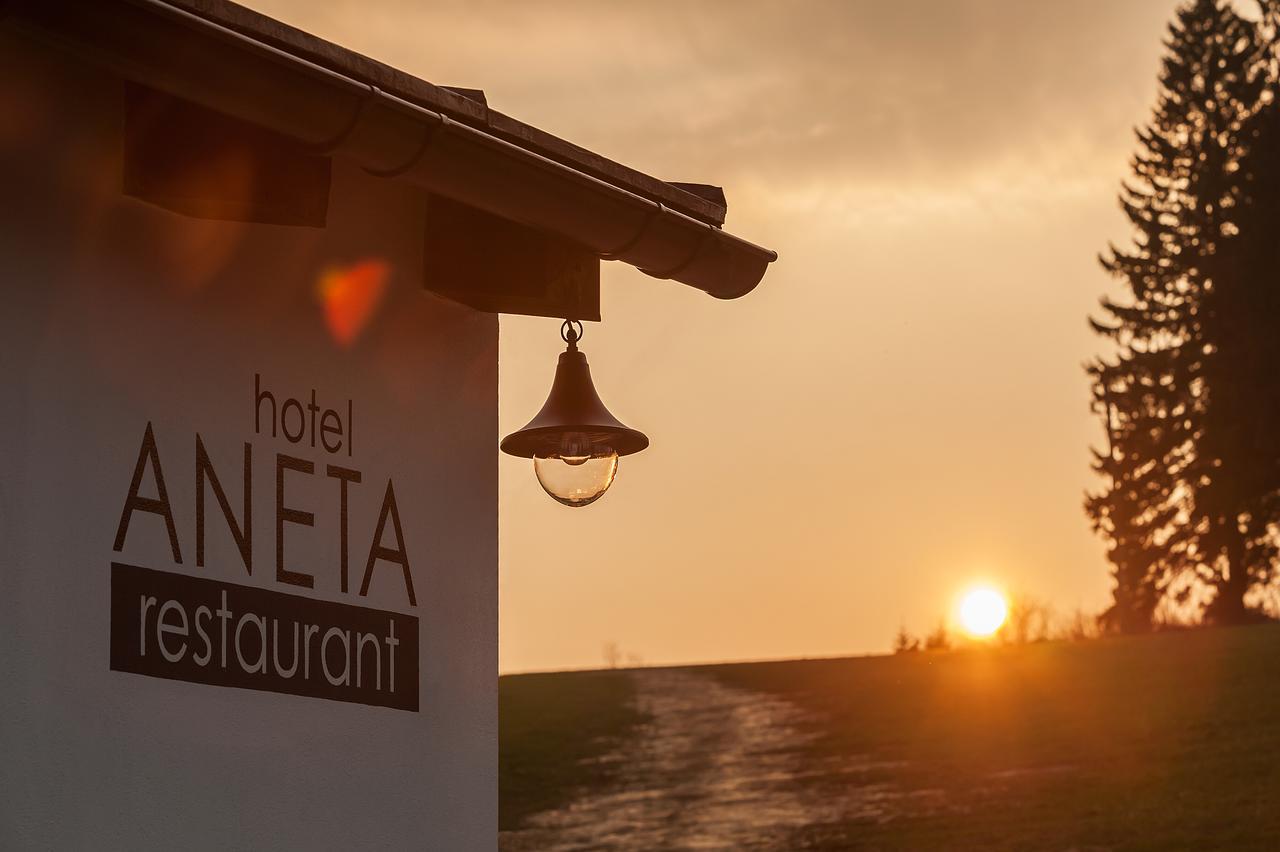 Aneta Hotel & Restaurant Vítkovice Екстериор снимка